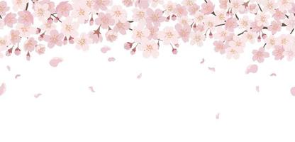 Detail Vector Bunga Sakura Nomer 6