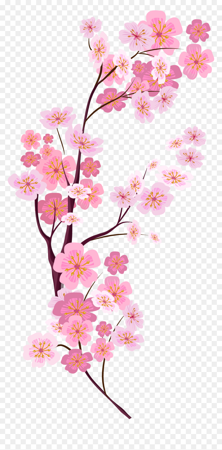 Detail Vector Bunga Sakura Nomer 9