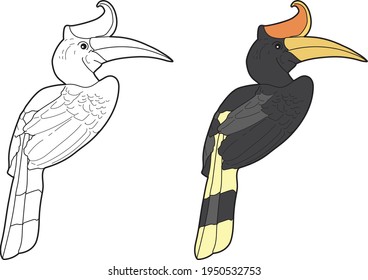 Detail Vector Burung Enggang Nomer 2