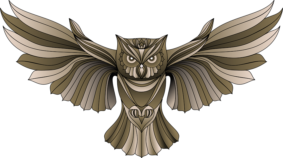 Detail Vector Burung Hantu Nomer 2