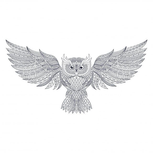 Detail Vector Burung Hantu Nomer 12