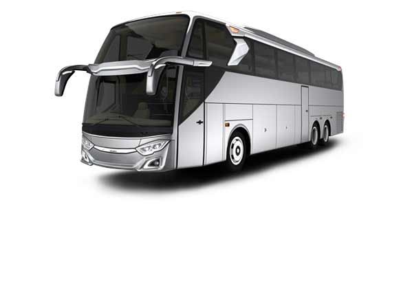 Detail Vector Bus Shd Nomer 51