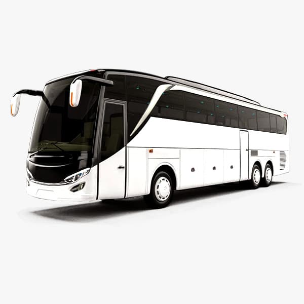 Detail Vector Bus Shd Nomer 58
