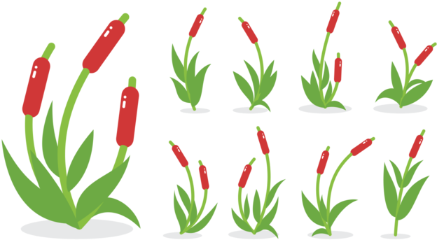 Detail Vector Cabe Png Nomer 46