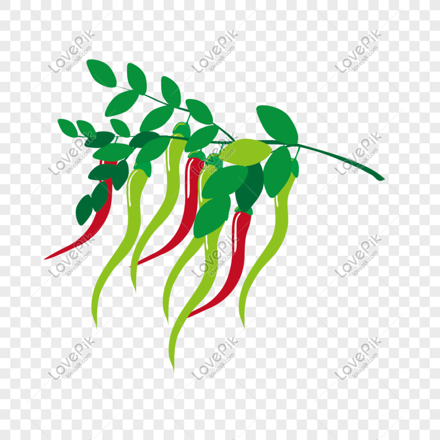 Detail Vector Cabe Png Nomer 48