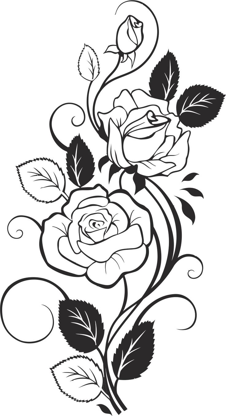 Detail Vector Cdr Gratis Nomer 30