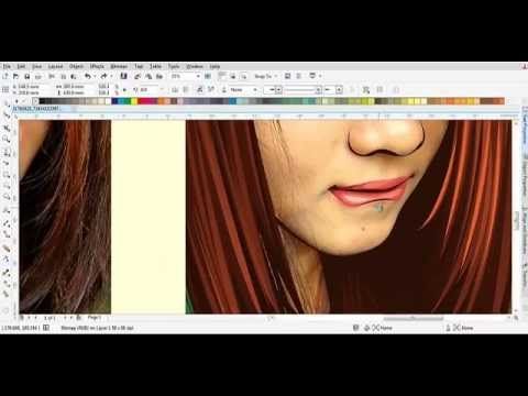 Detail Vector Corel Draw X7 Nomer 13
