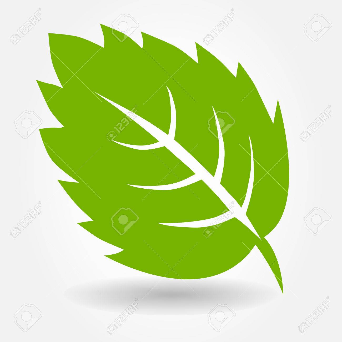 Detail Vector Daun Nomer 14