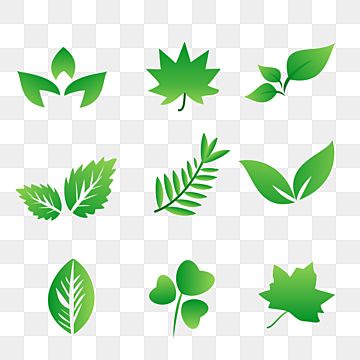 Detail Vector Daun Nomer 18