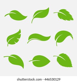 Detail Vector Daun Nomer 19