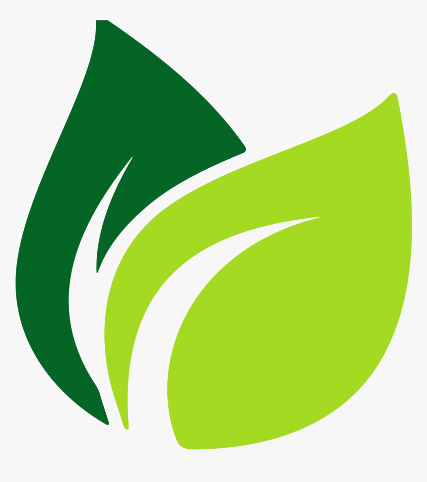 Detail Vector Daun Nomer 3