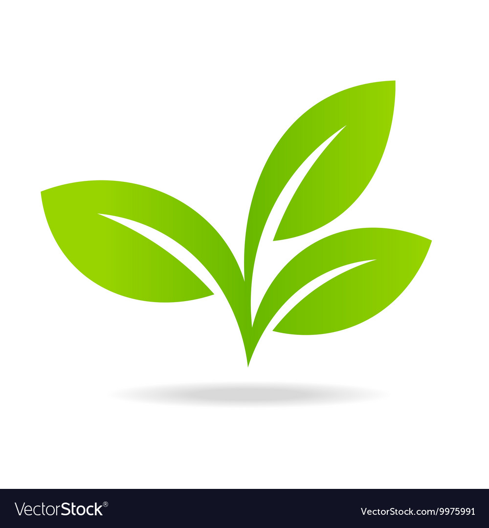 Detail Vector Daun Nomer 25