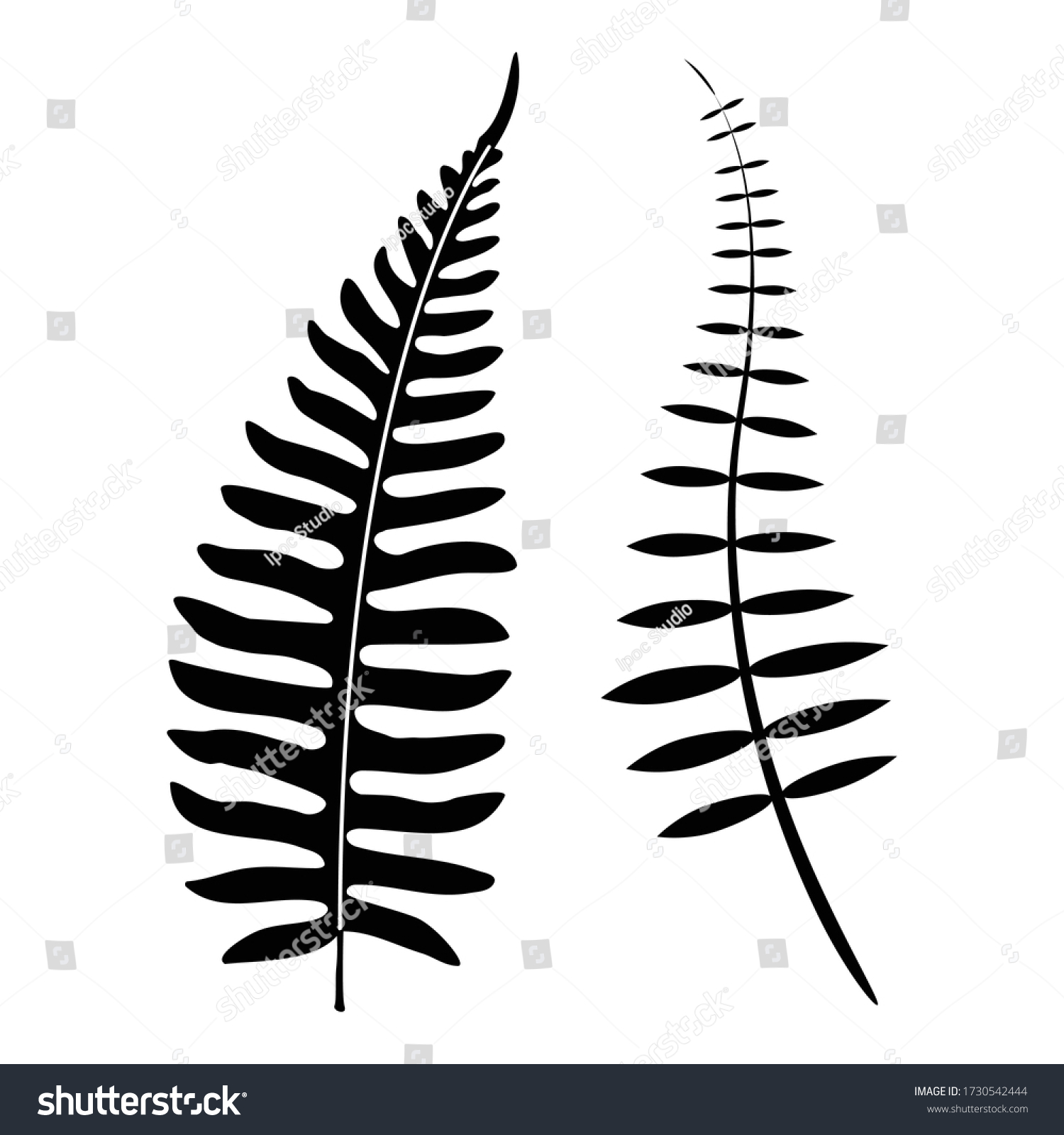 Detail Vector Daun Nomer 28