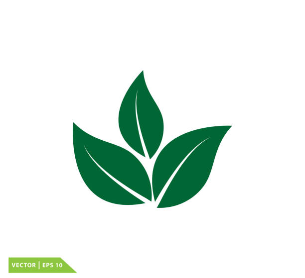 Detail Vector Daun Nomer 4