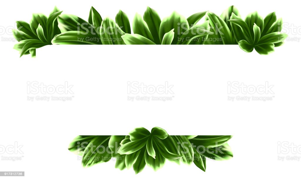 Detail Vector Daun Nomer 31