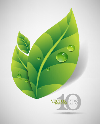 Detail Vector Daun Nomer 37