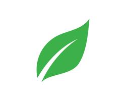 Detail Vector Daun Nomer 5