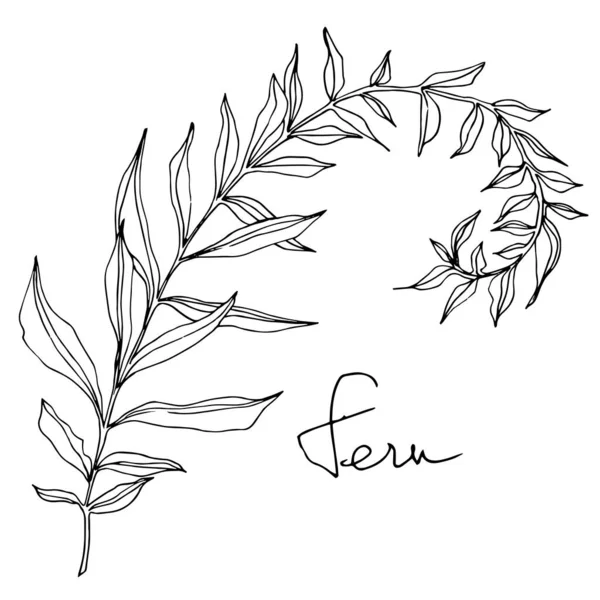 Detail Vector Daun Nomer 39