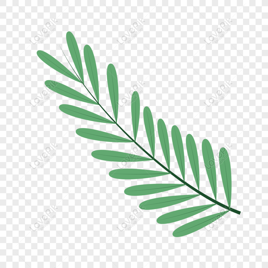 Detail Vector Daun Nomer 40