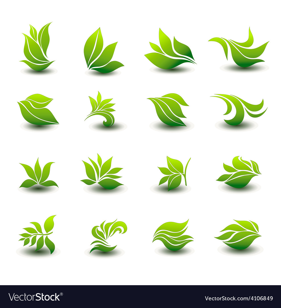 Detail Vector Daun Nomer 41