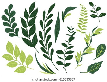 Detail Vector Daun Nomer 42