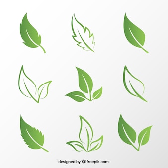 Detail Vector Daun Nomer 6