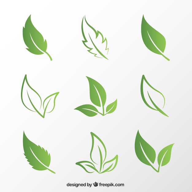Detail Vector Daun Nomer 47