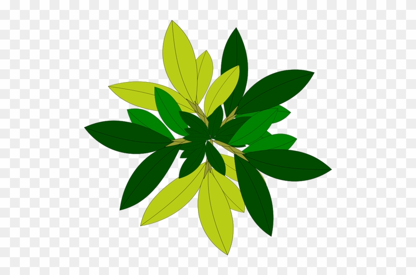 Detail Vector Daun Nomer 49