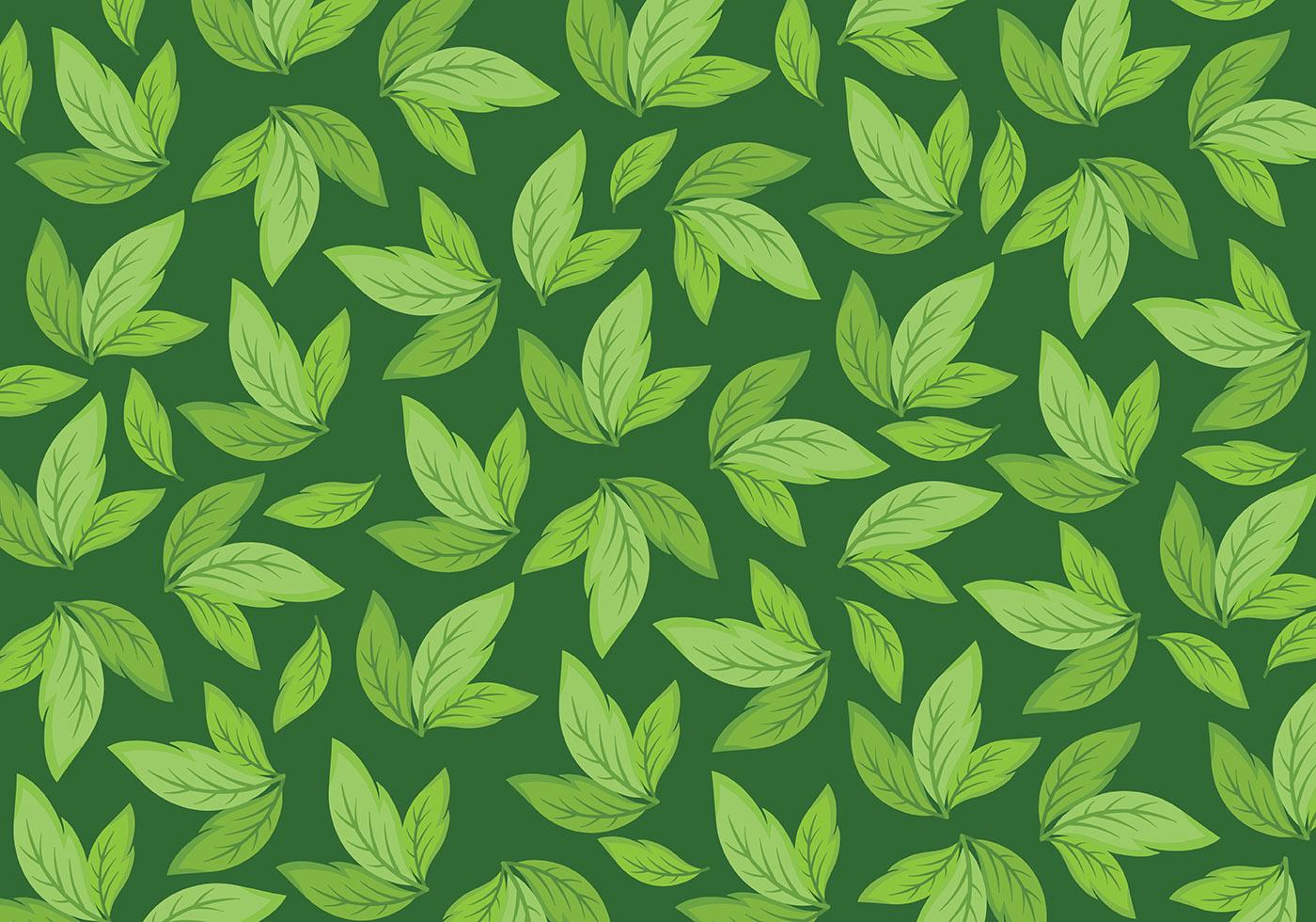 Detail Vector Daun Nomer 50
