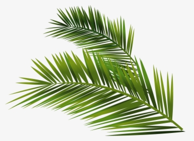 Detail Vector Daun Nomer 53