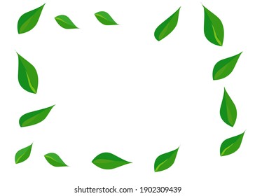 Detail Vector Daun Nomer 7