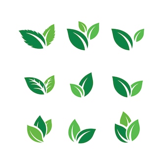 Detail Vector Daun Nomer 8
