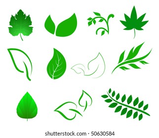 Detail Vector Daun Cdr Nomer 12