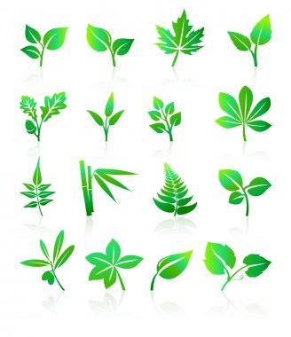 Detail Vector Daun Cdr Nomer 17