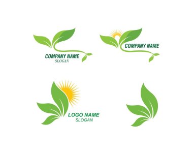 Detail Vector Daun Cdr Nomer 36