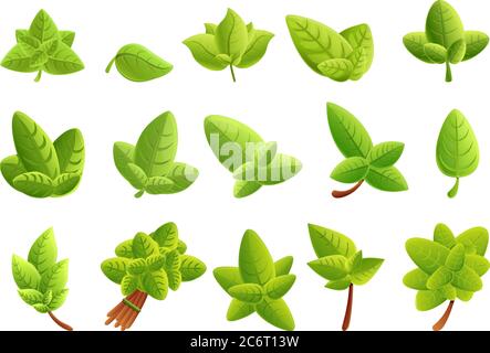 Detail Vector Daun Cdr Nomer 49