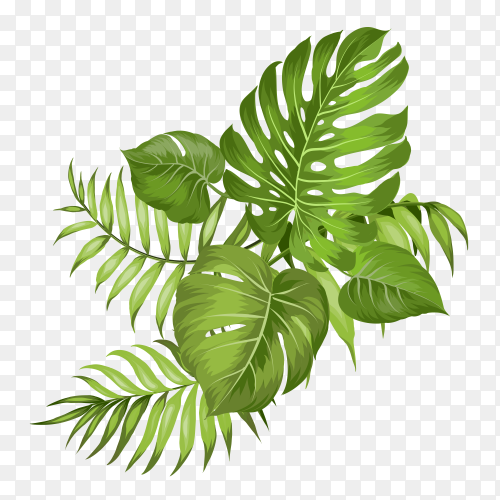 Detail Vector Daun Png Nomer 10