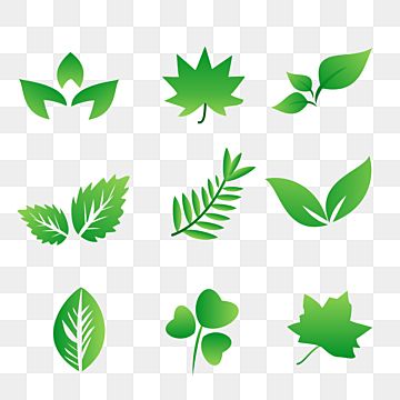 Detail Vector Daun Png Nomer 18