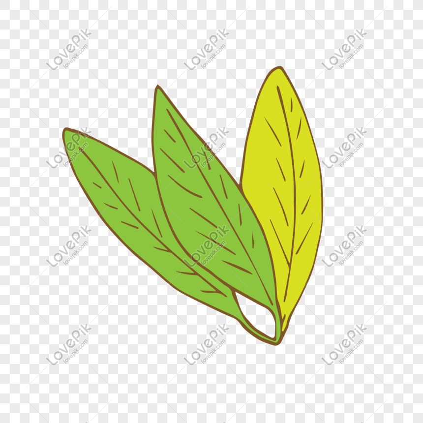 Detail Vector Daun Png Nomer 29