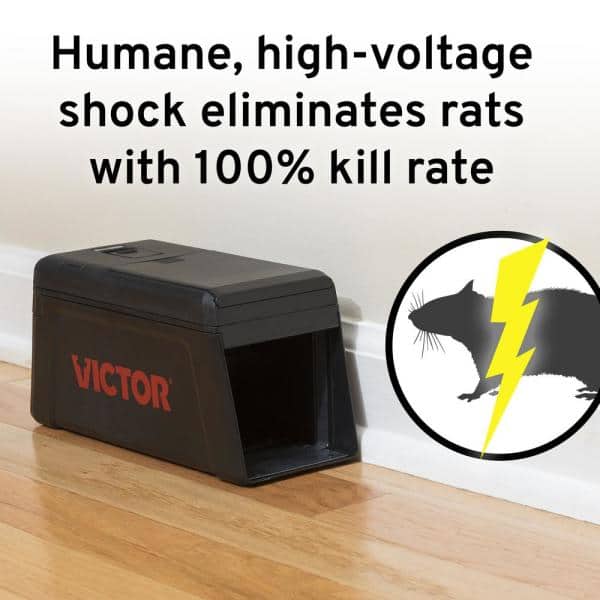 Detail Vector Electric Rat Trap Nomer 9