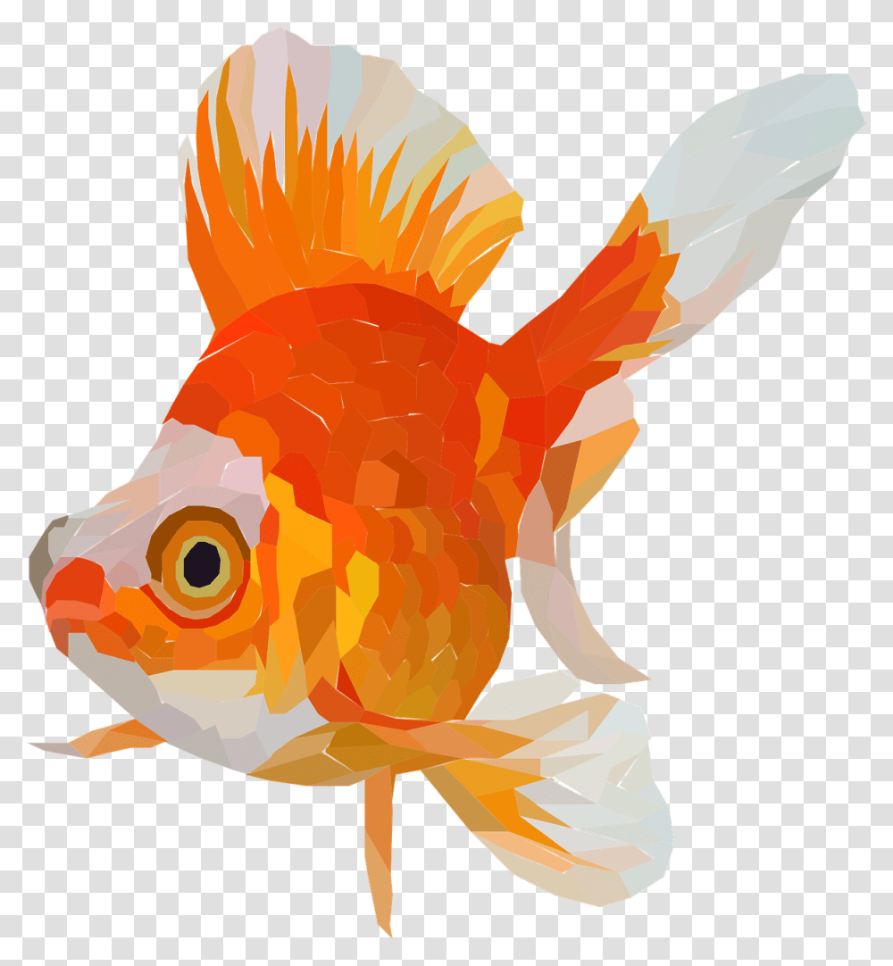 Detail Vector Ikan Mas Nomer 14