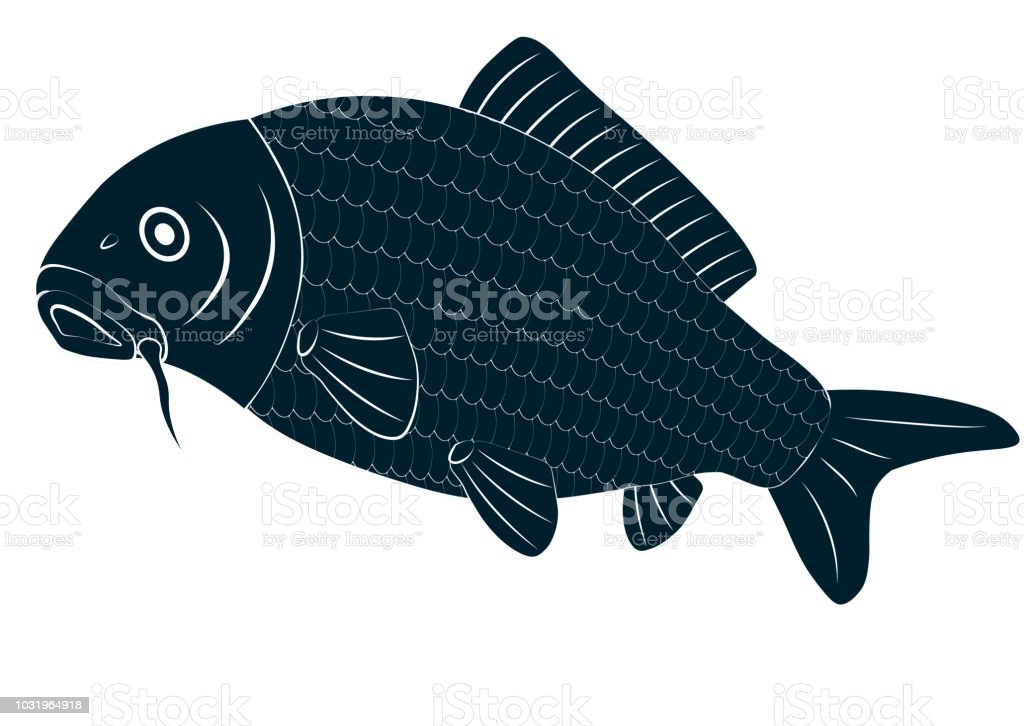 Detail Vector Ikan Mas Nomer 7