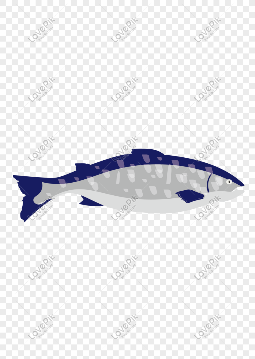 Detail Vector Ikan Png Nomer 49