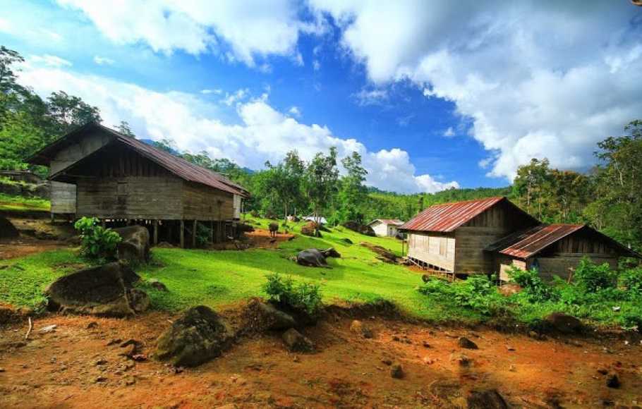 Detail Rumah Di Desa Pegunungan Nomer 9