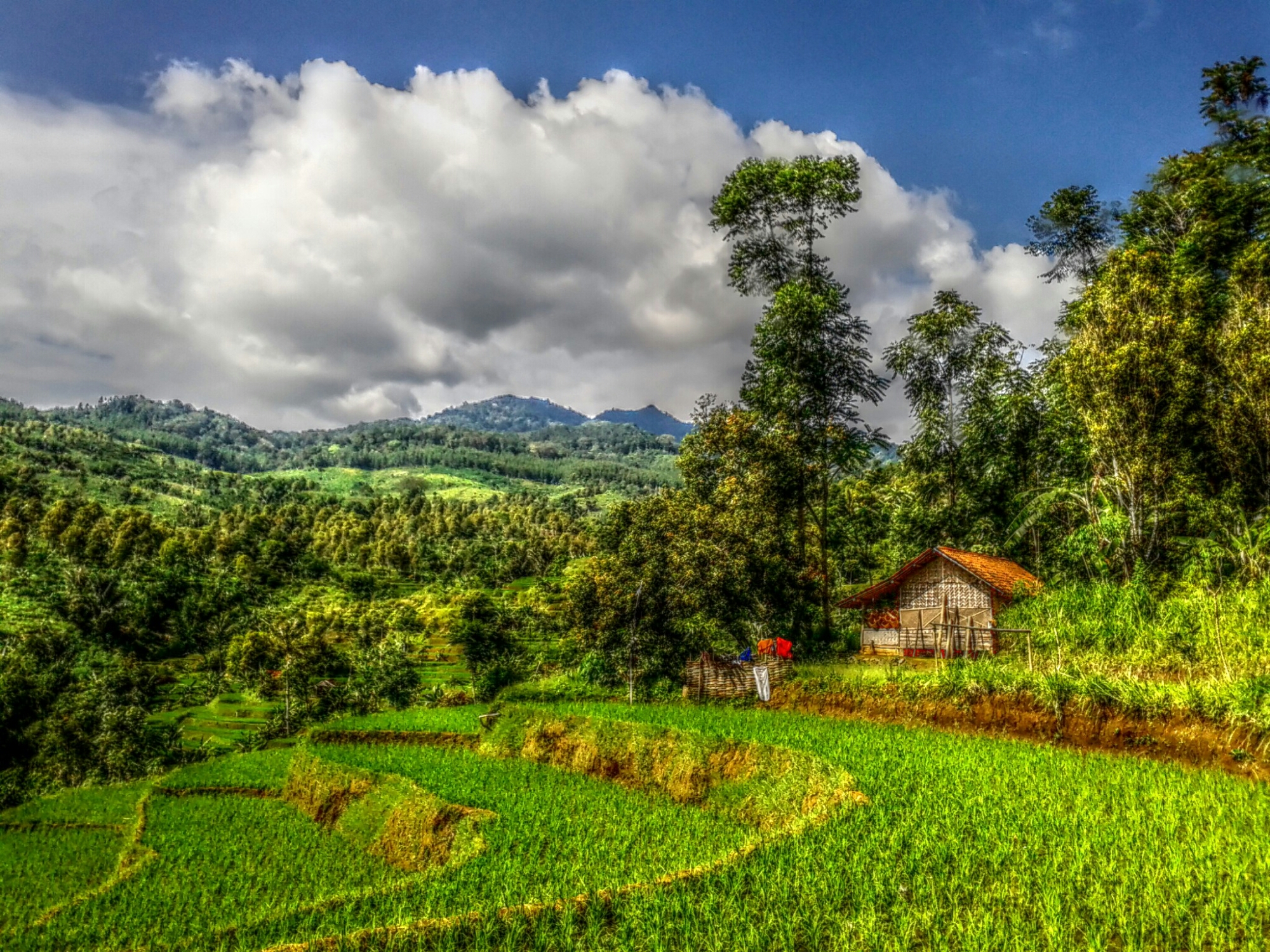 Detail Rumah Di Lereng Gunung Nomer 30