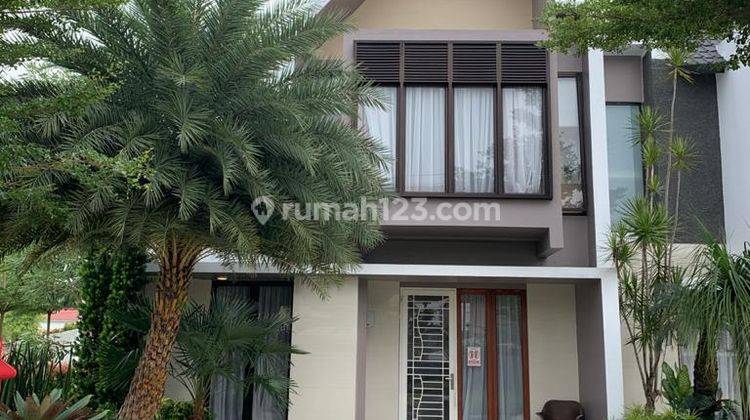 Detail Rumah Di Medan Nomer 15