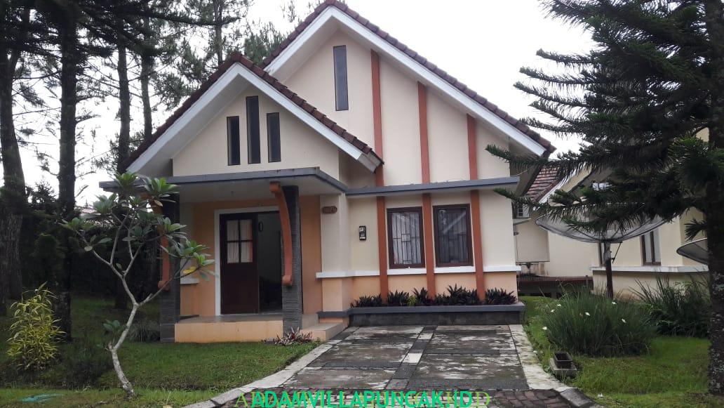 Detail Rumah Di New Zealand Nomer 42