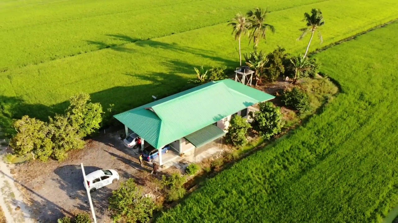 Detail Rumah Di Sawah Nomer 12