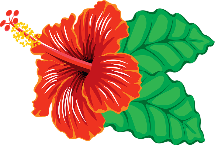 Detail Vector Kembang Nomer 4