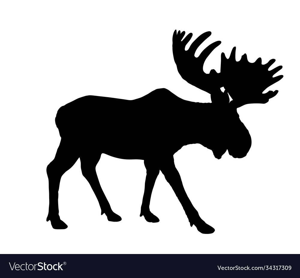 Detail Vector Moose Silhouette Nomer 36